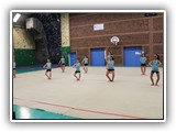 IMG_1288