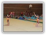IMG_1358